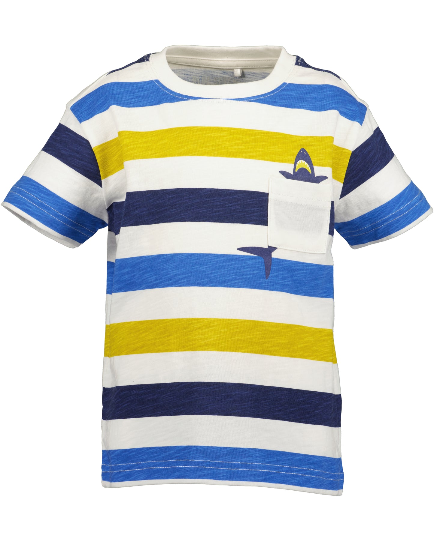 Boys Striped T-Shirt