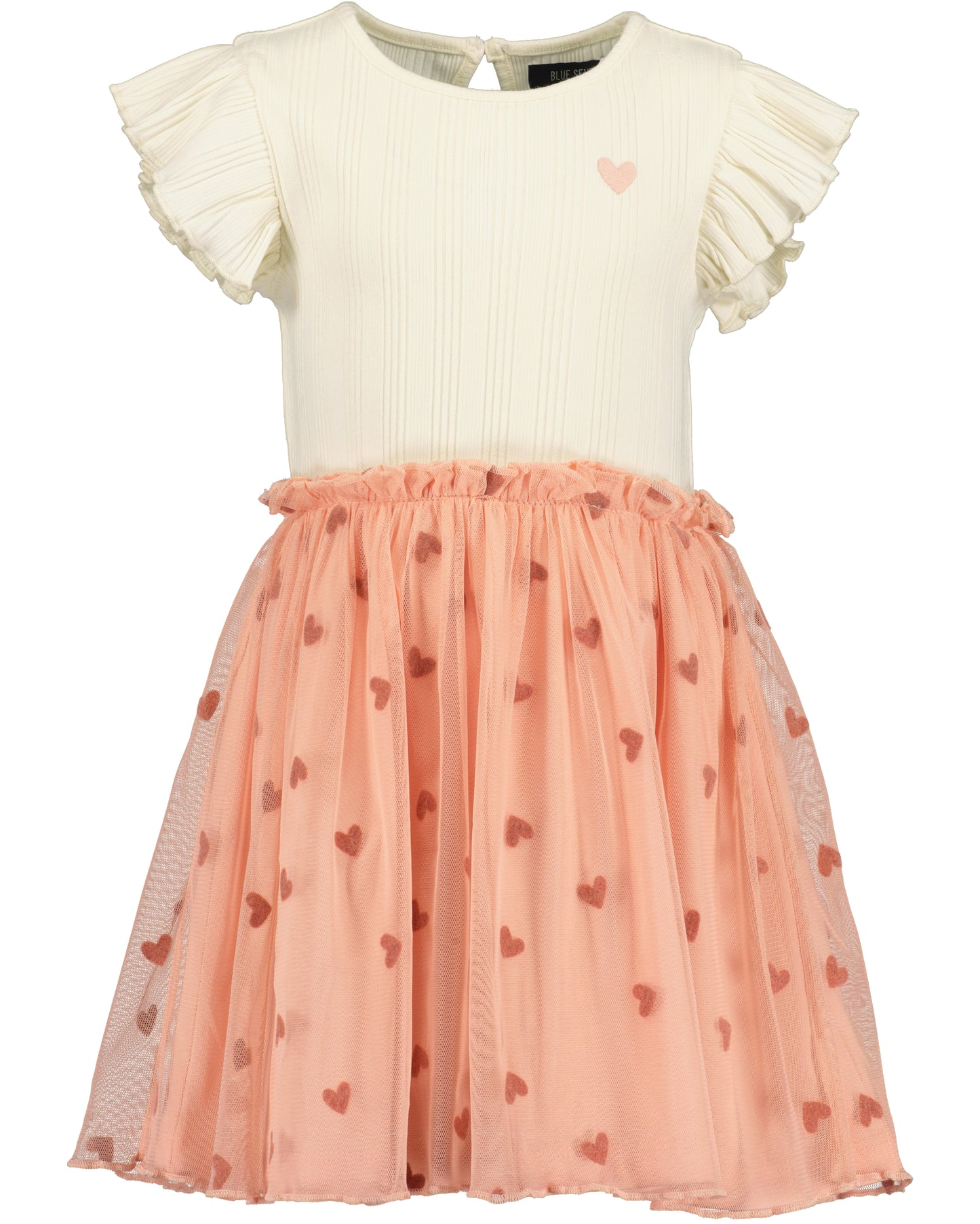 Girls Dress with Tulle Skirt