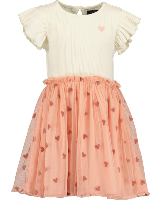 Girls Dress with Tulle Skirt