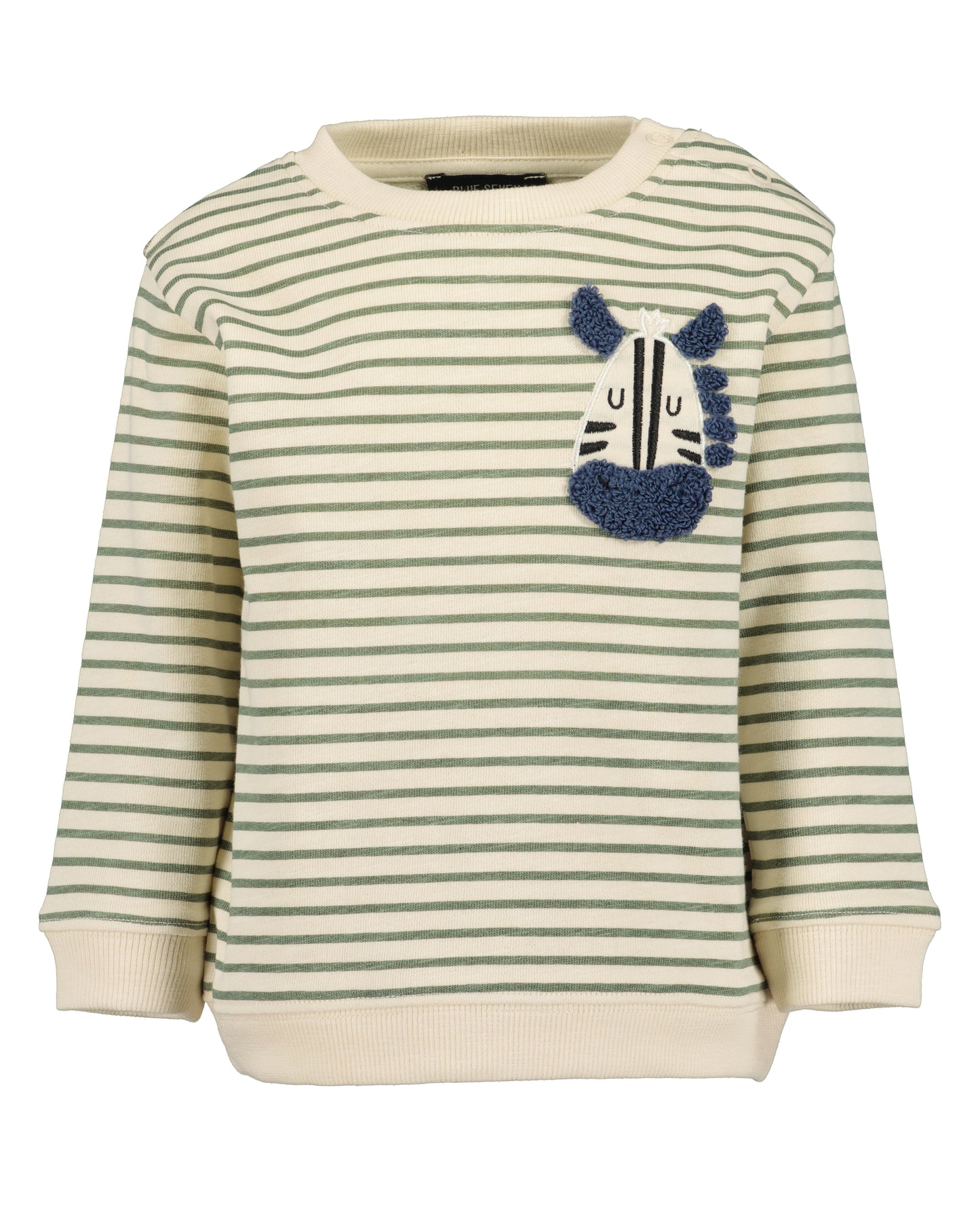 Zebra Jumper