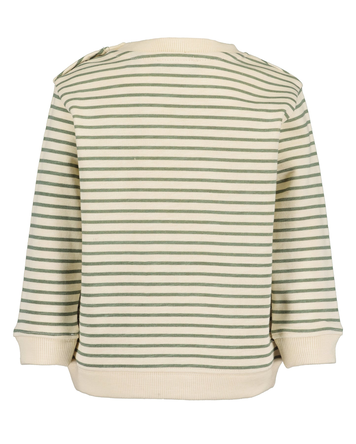 Zebra Jumper