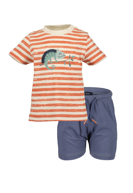 Baby Boys Shorts & T-Shirt