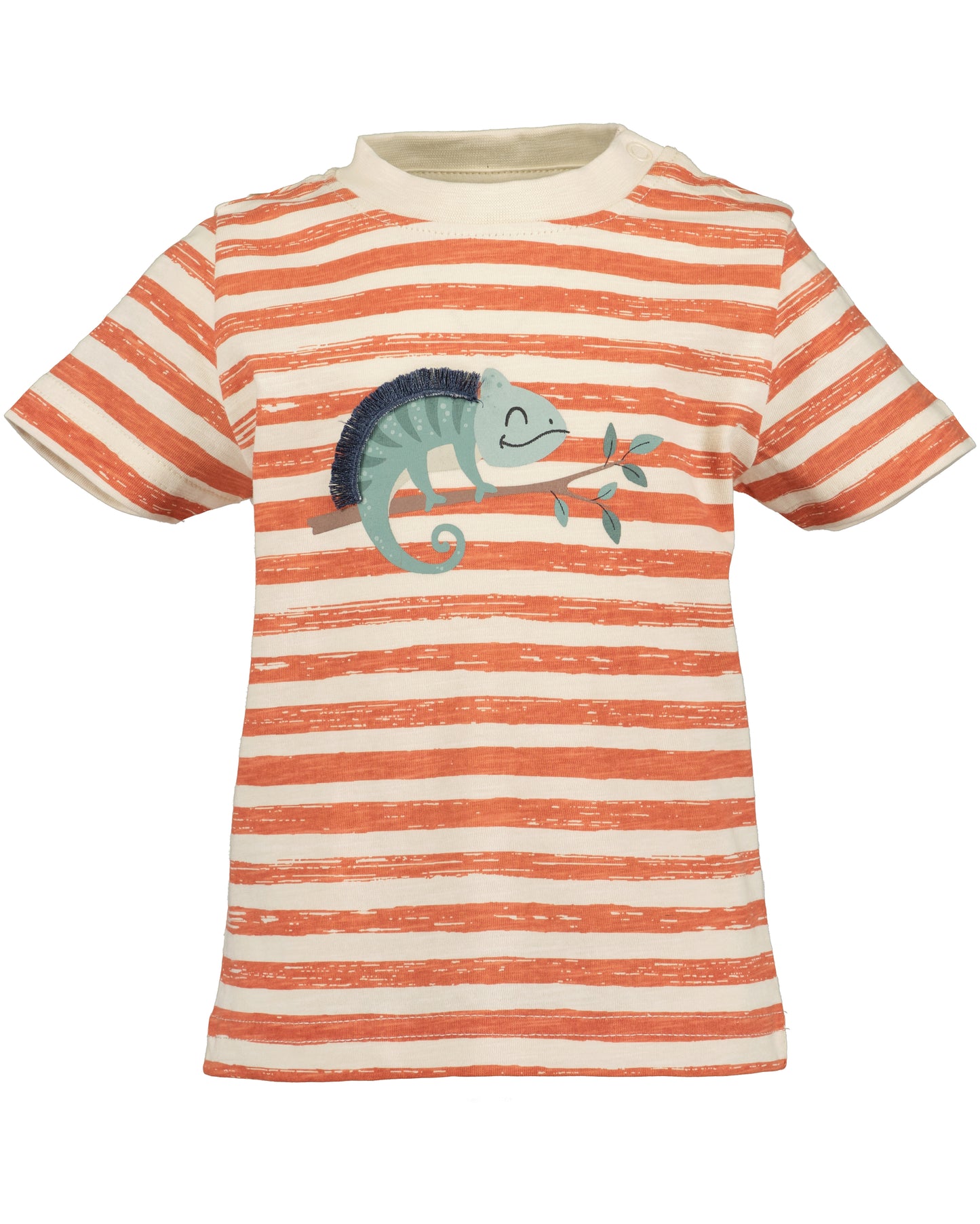 Baby Boys Shorts & T-Shirt