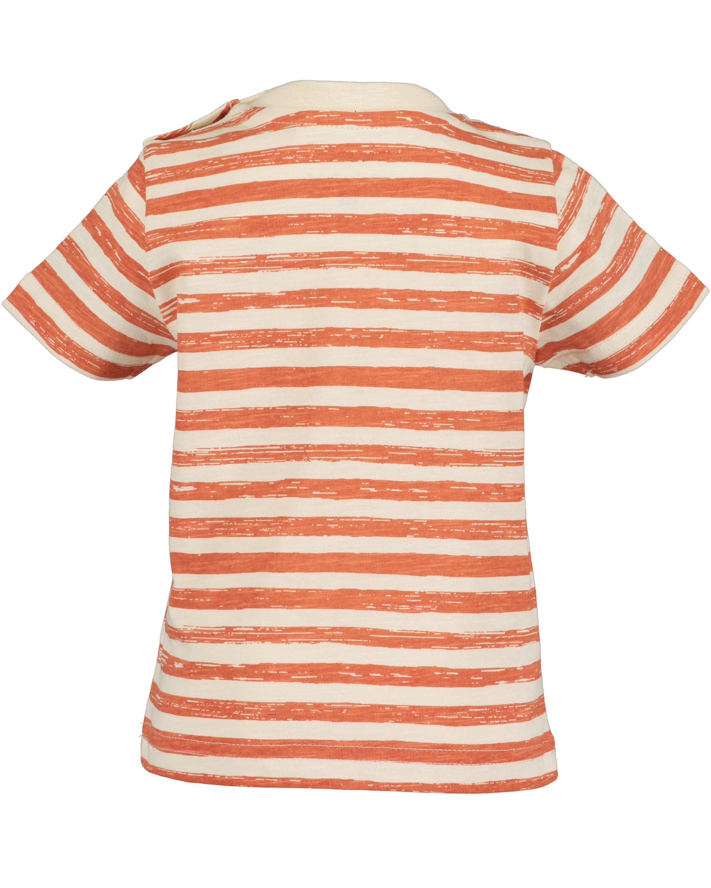 Baby Boys Shorts & T-Shirt