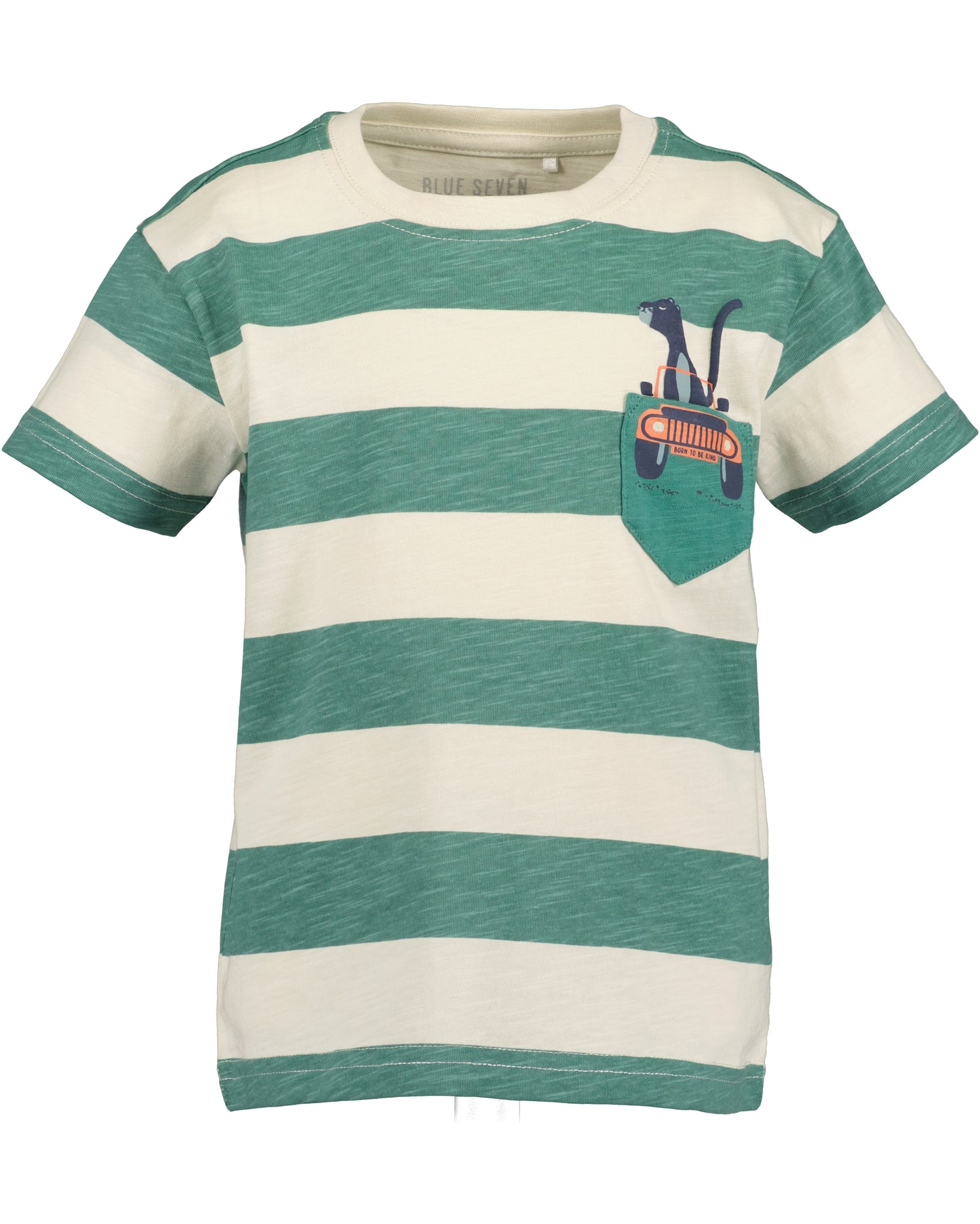 Boys Striped T-Shirt