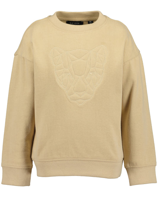 Boys Sweatshirt