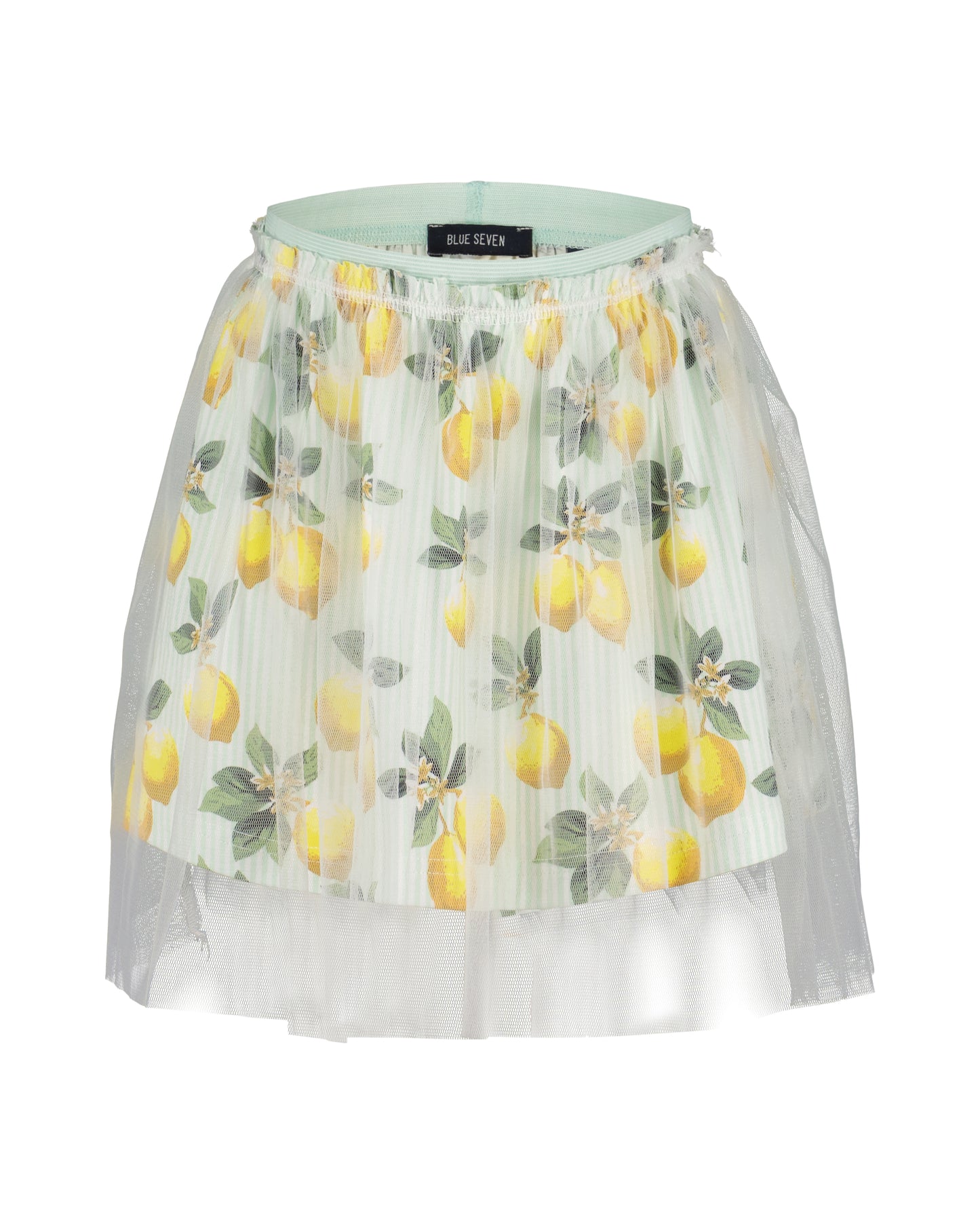 Girls Top & Tulle Skirt