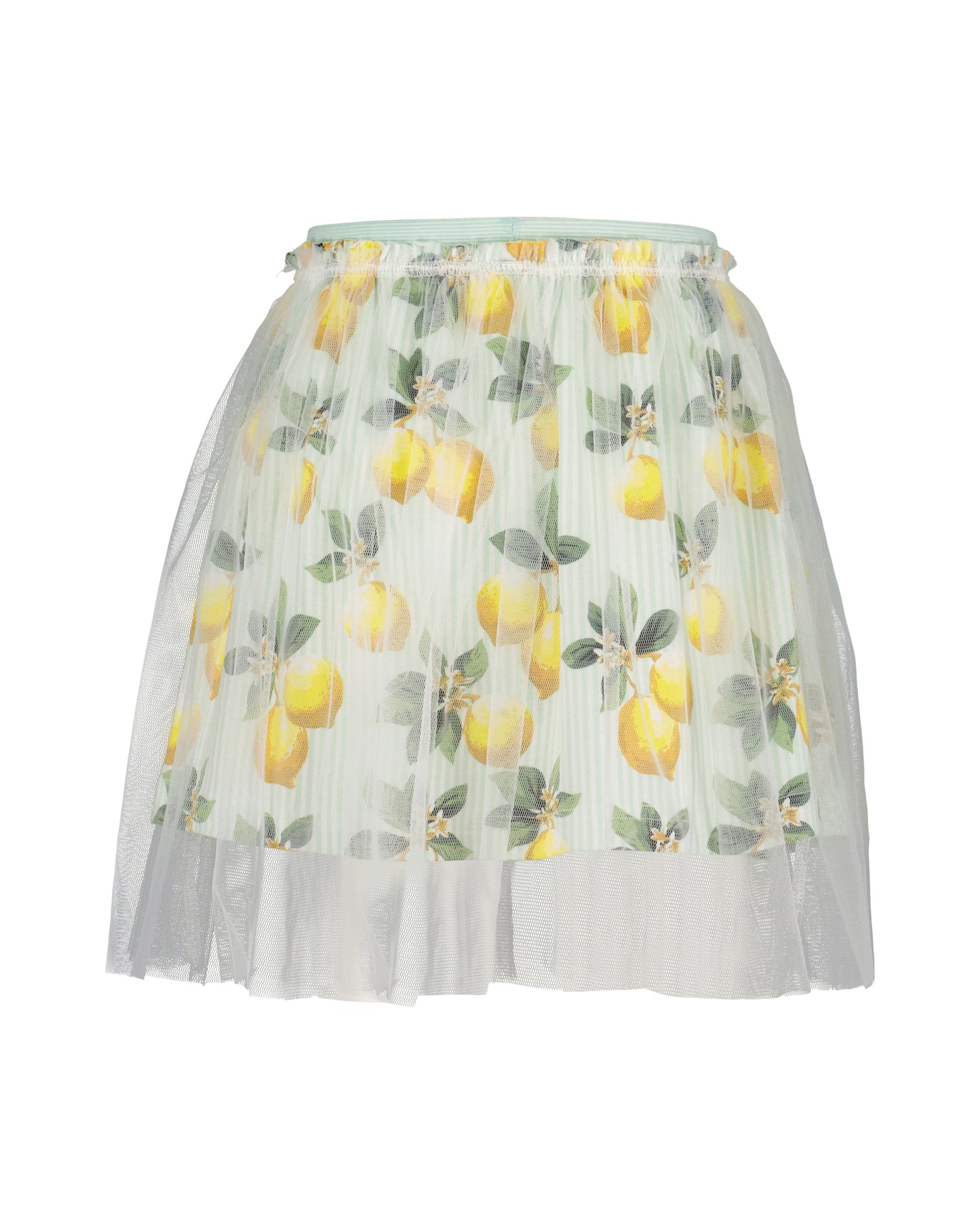 Girls Top & Tulle Skirt