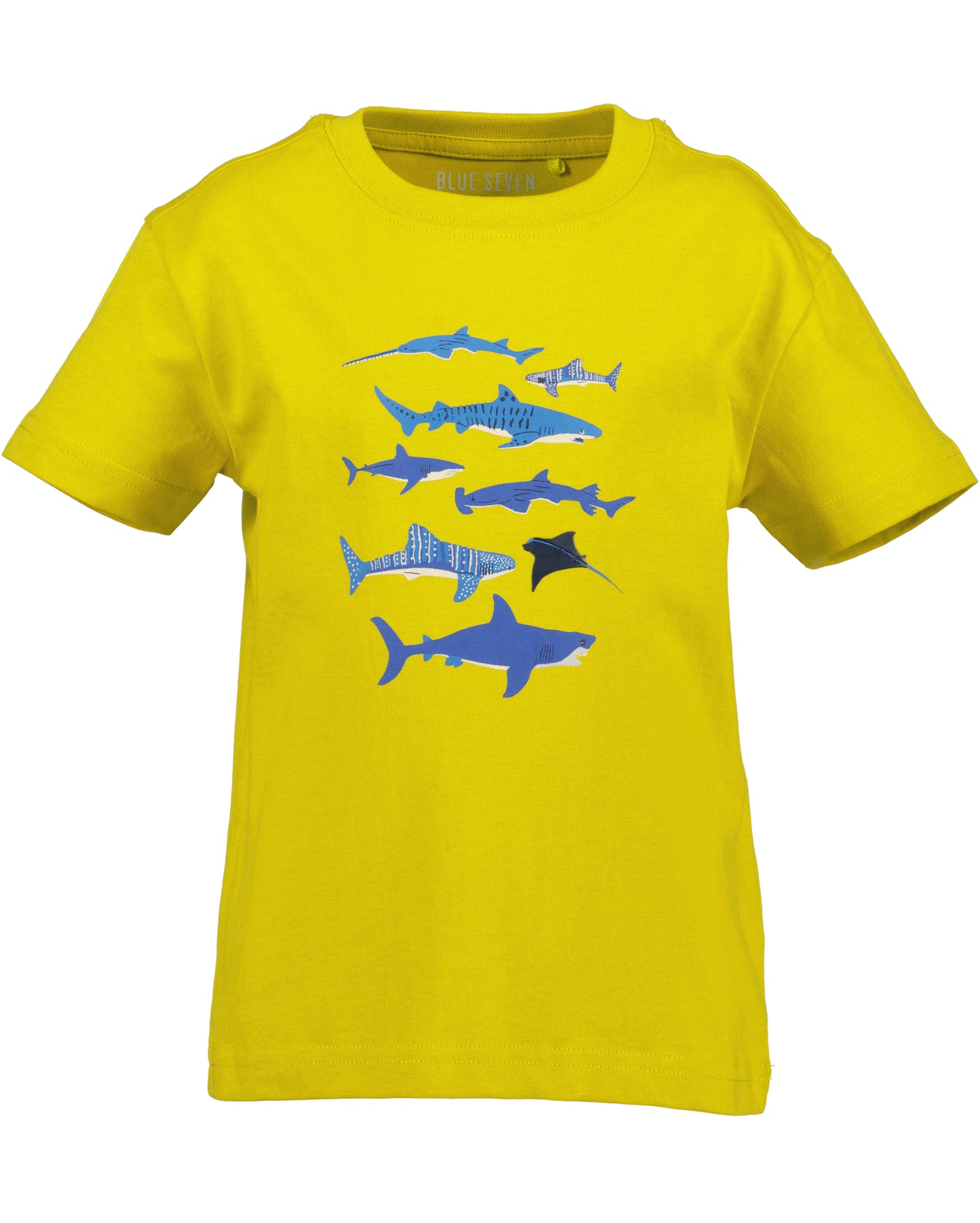 Boys Shark Jogger Set