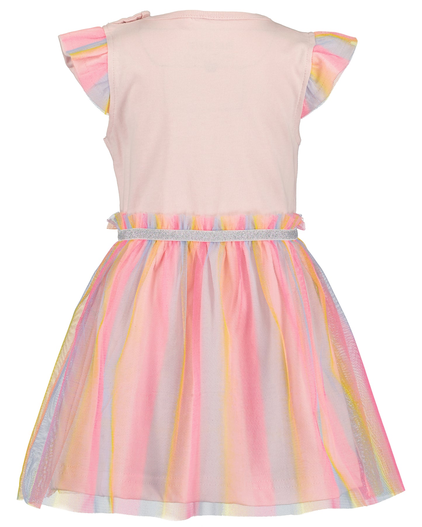 Toddler Girls Dress with Tulle Skirt