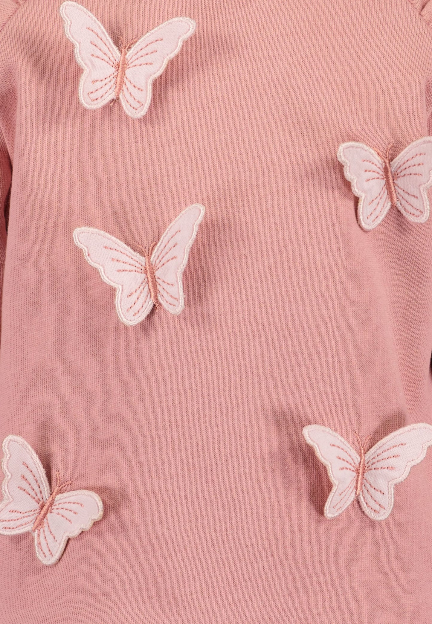 Toddler Girls Butterfly Jumper