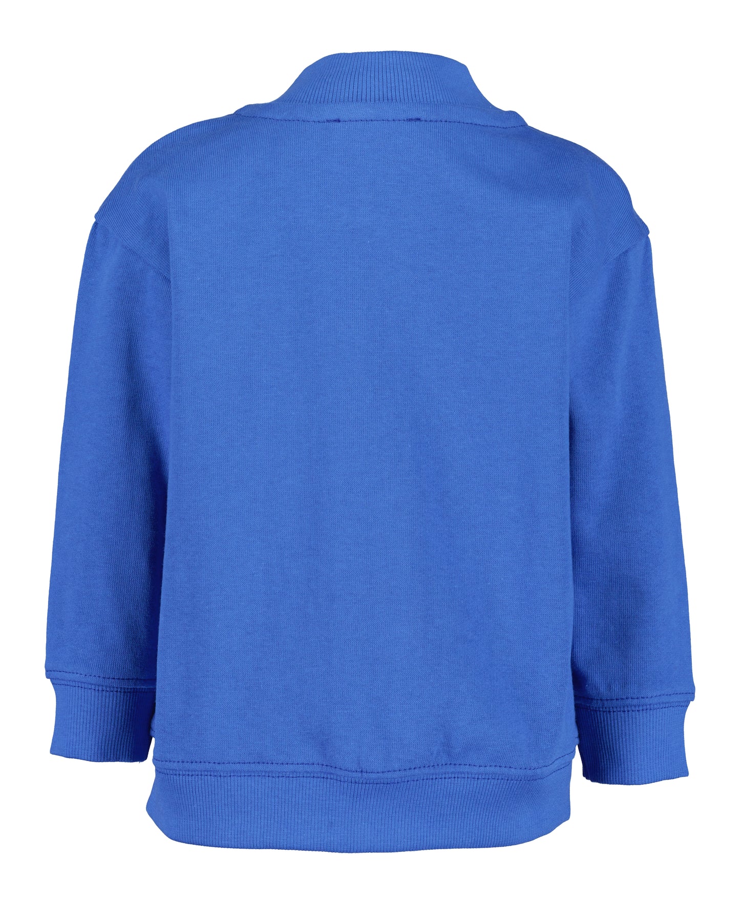 Blue Zip Up