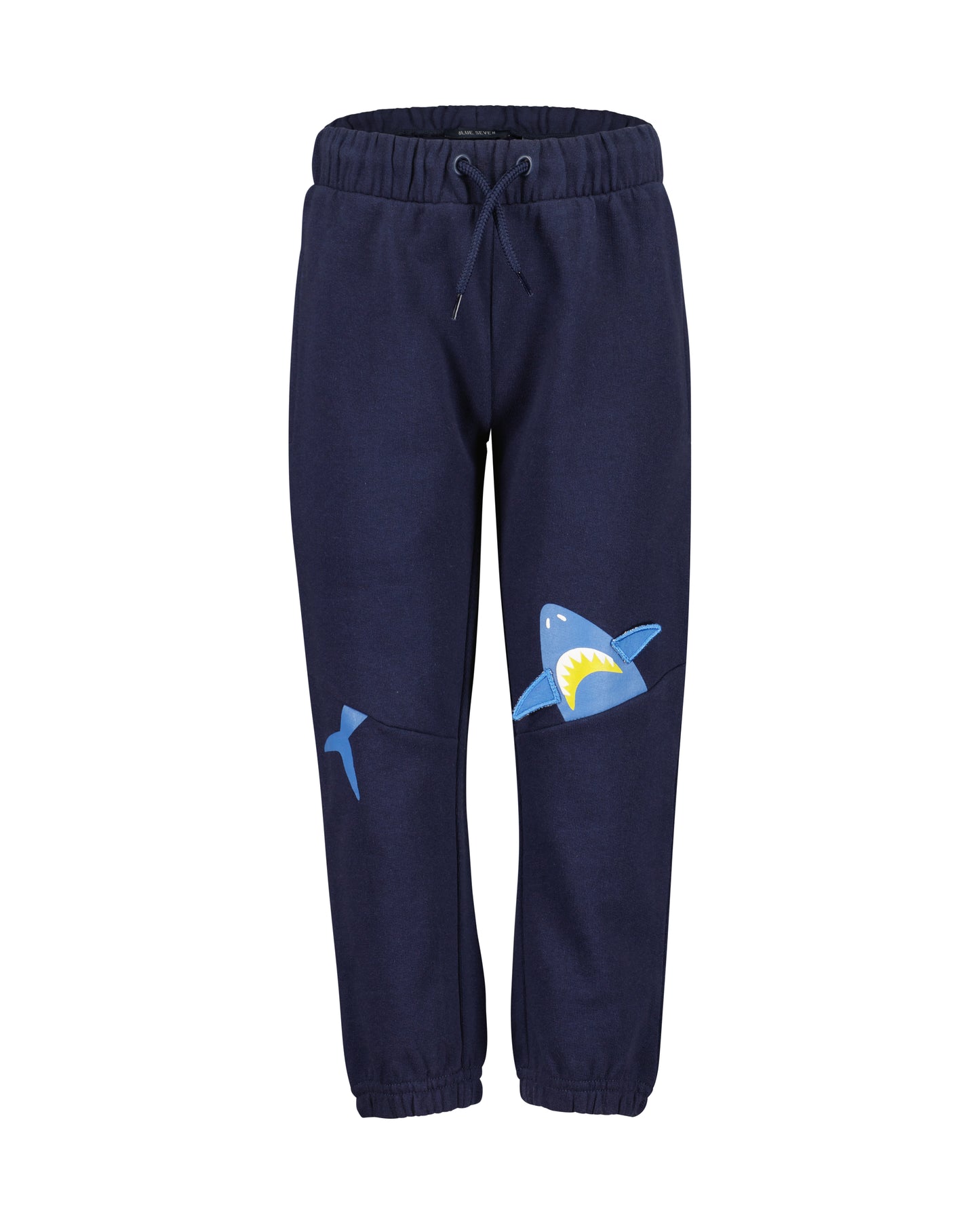 Boys Shark Jogger Set