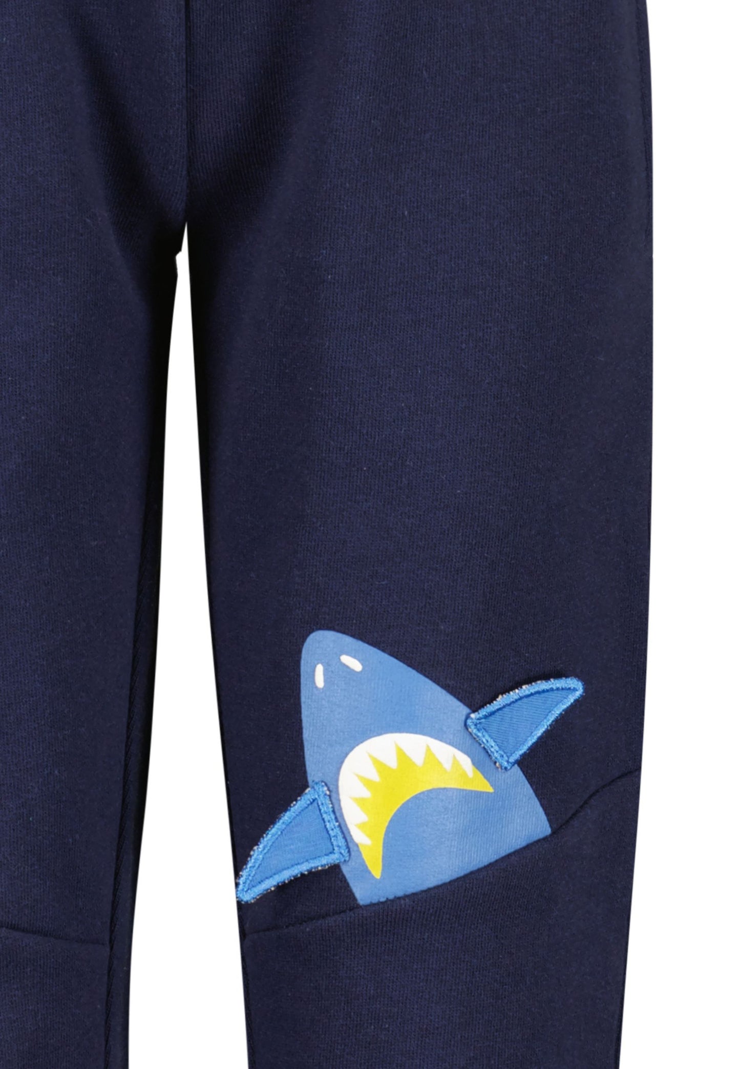 Boys Shark Jogger Set