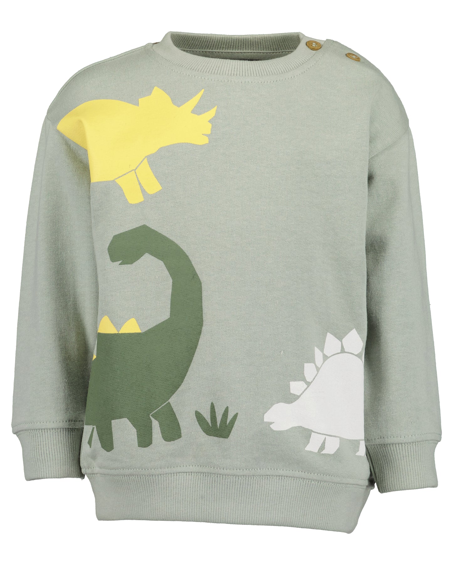 Baby Boys Green Dino Set