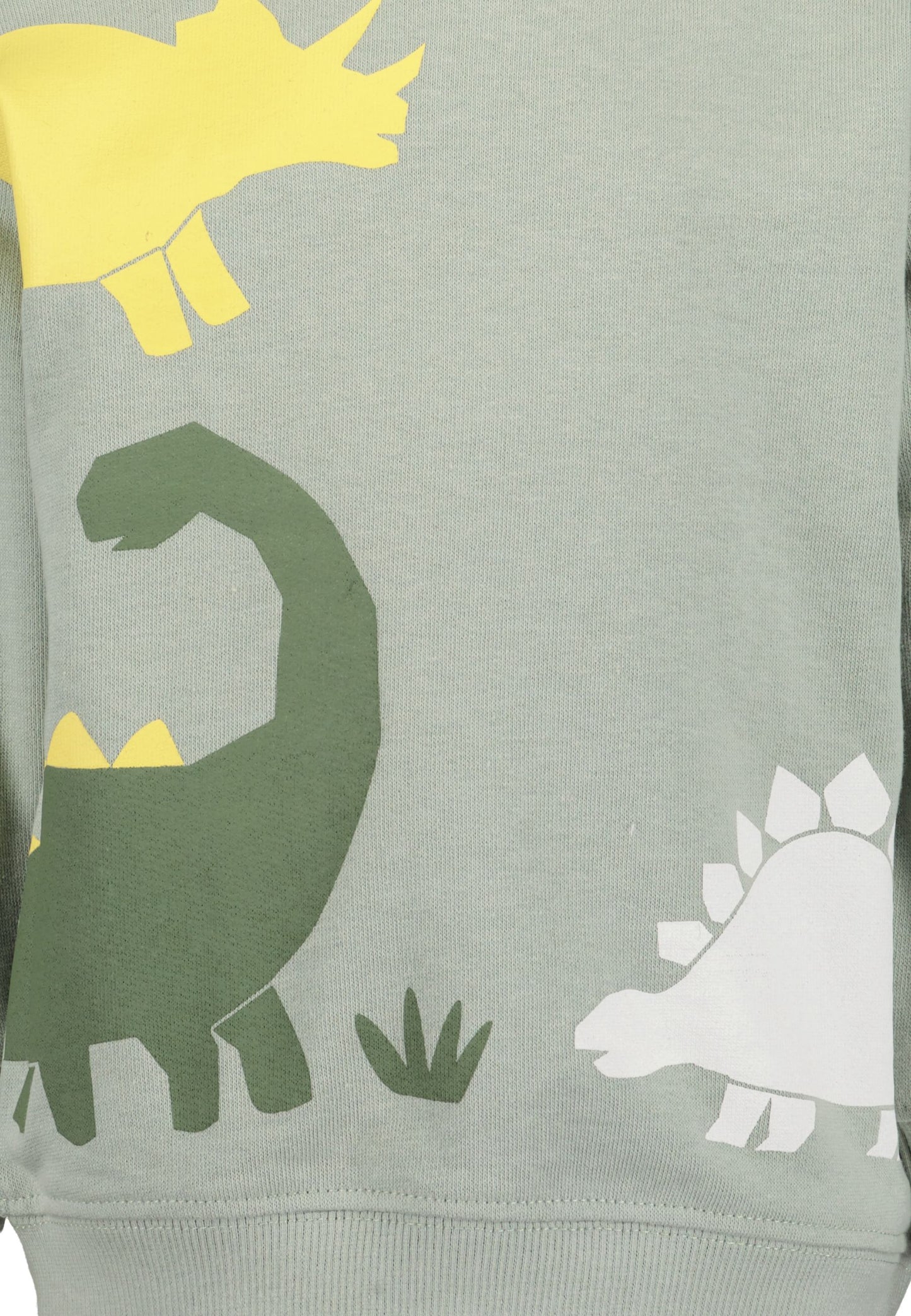 Baby Boys Green Dino Set