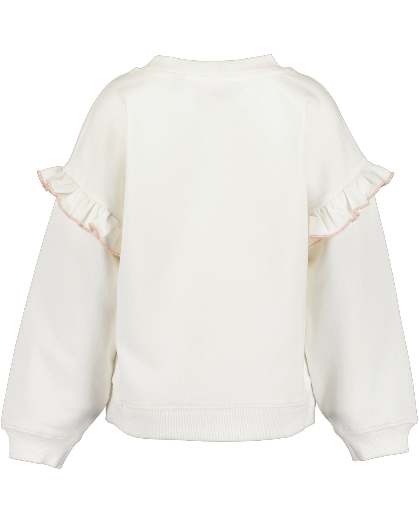 Girls Swan Jumper