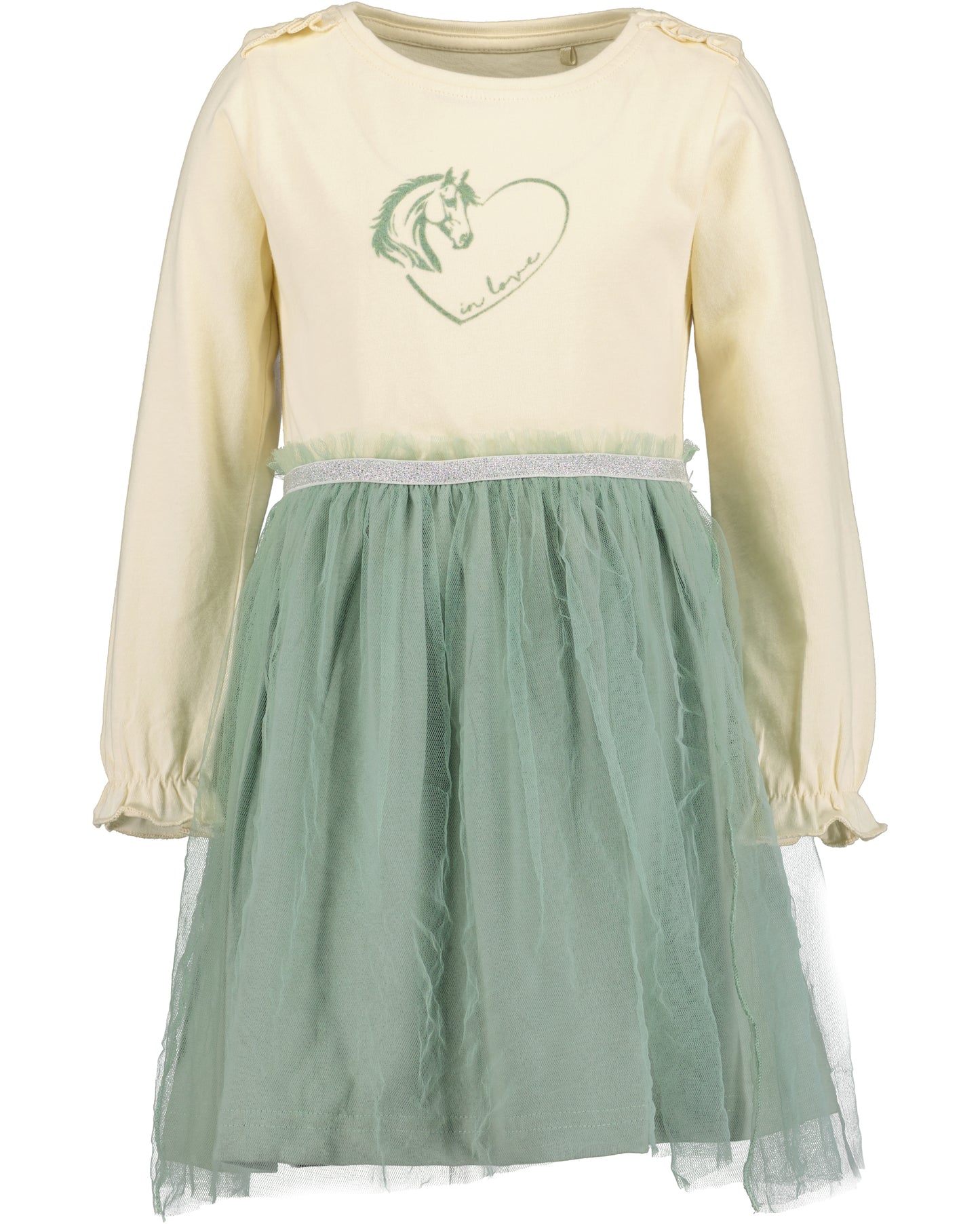 Girls Dress with Tulle Shirt