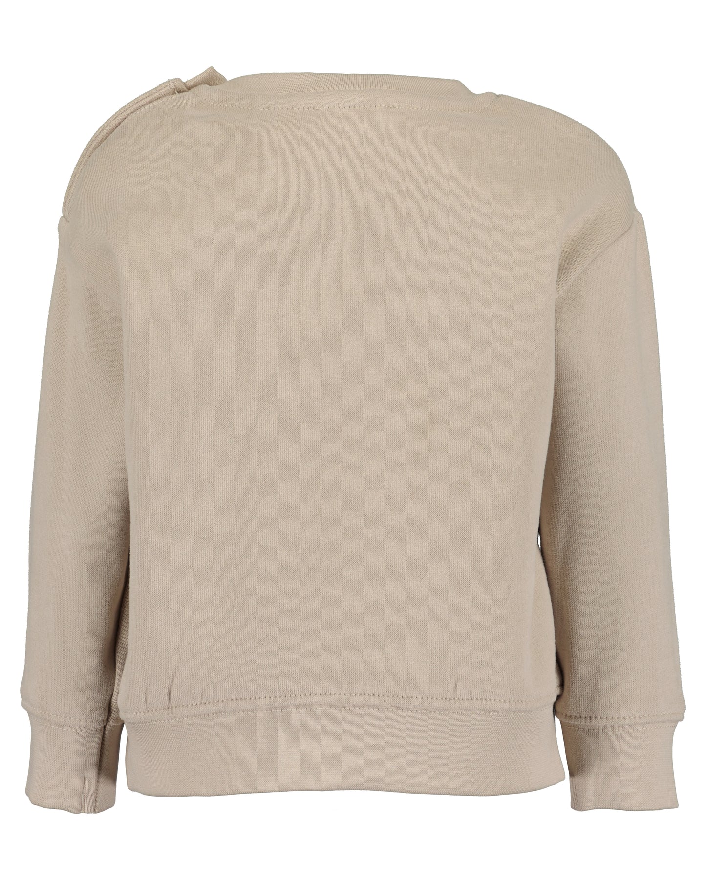 Boys Puppy Sweatshirt