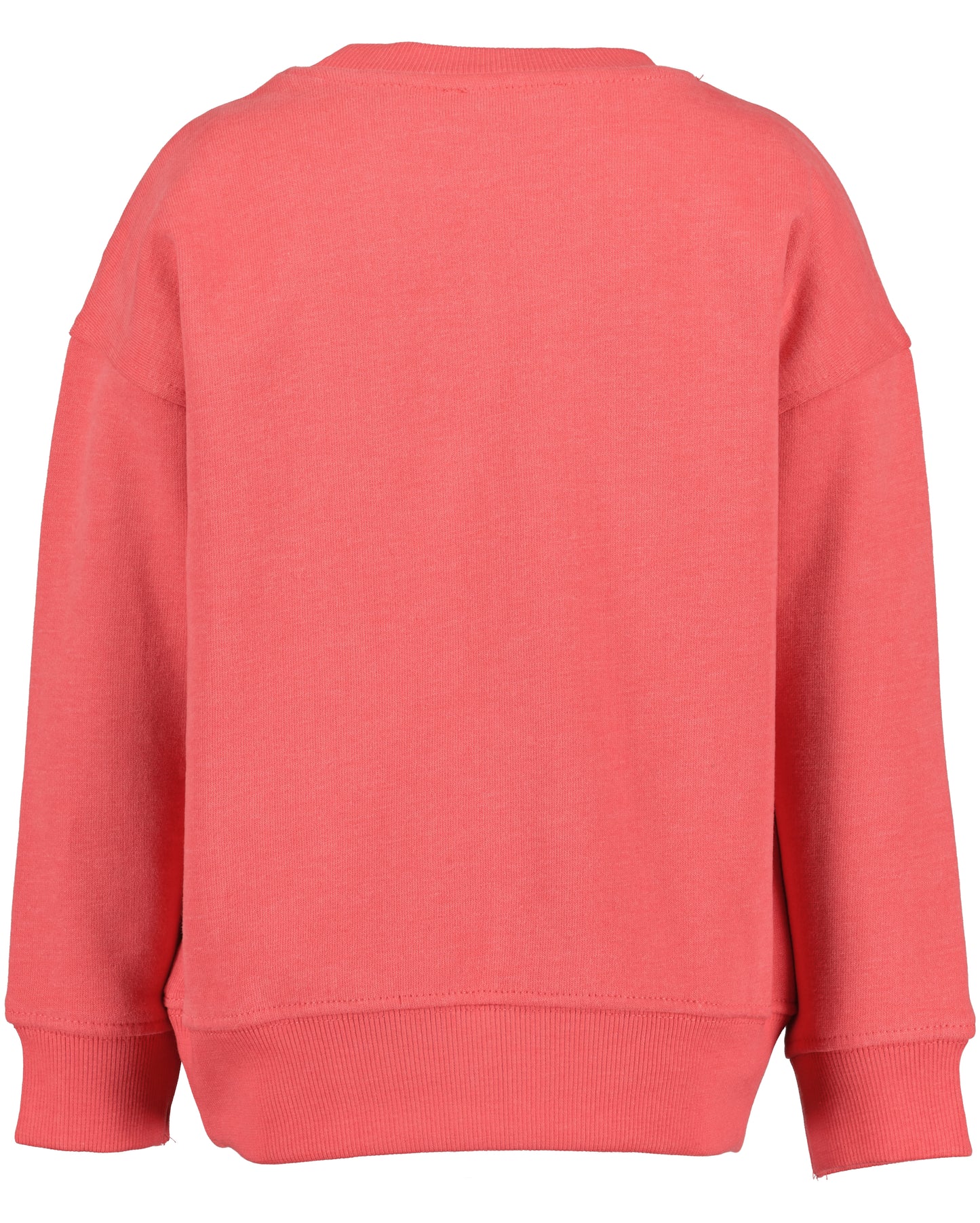 Boys Red Sweatshirt