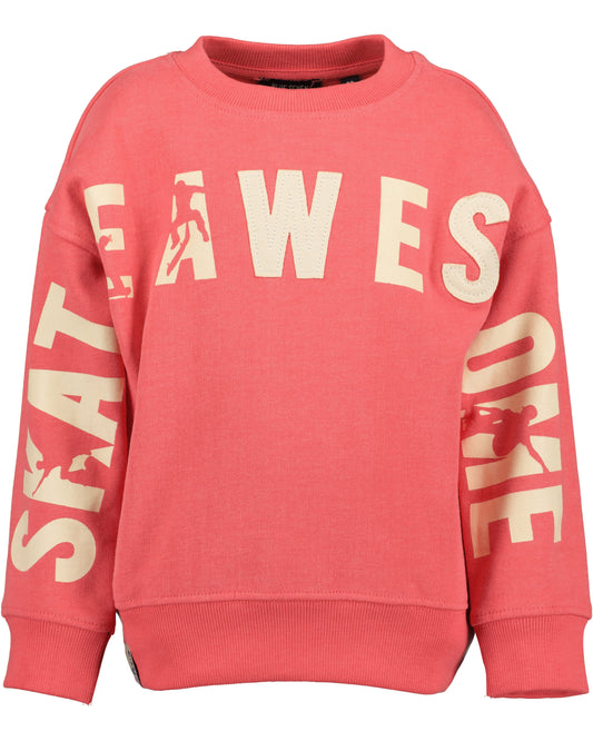 Boys Red Sweatshirt
