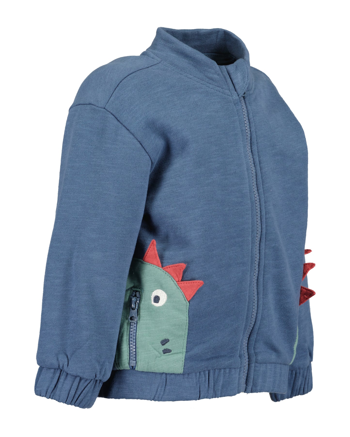 Toddler Boys Dino Tracksuit