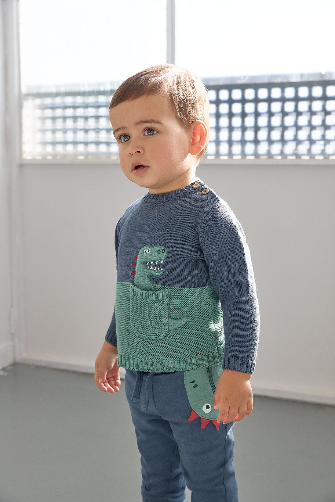Toddler Boys Pullover
