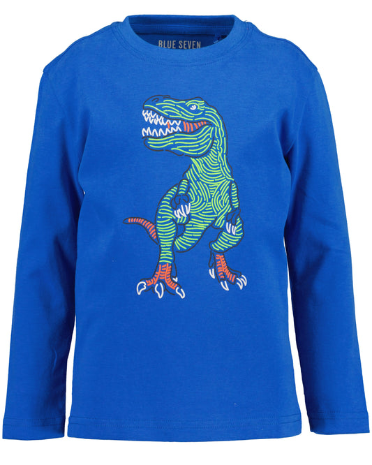 Boys Dino Top