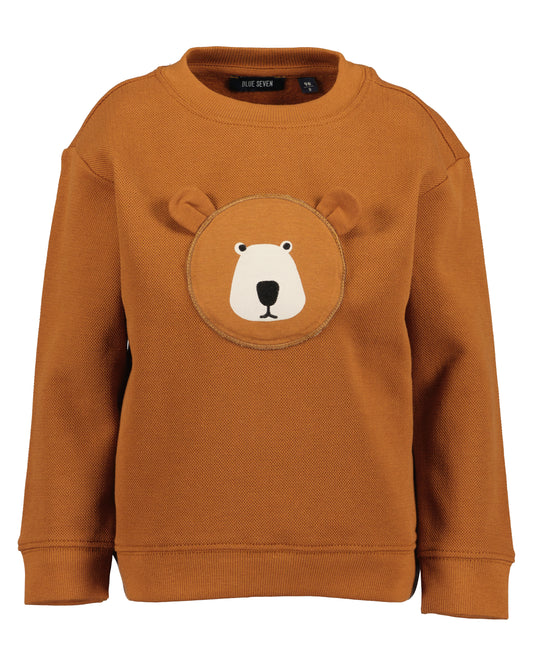 Boys Teddy Jumper