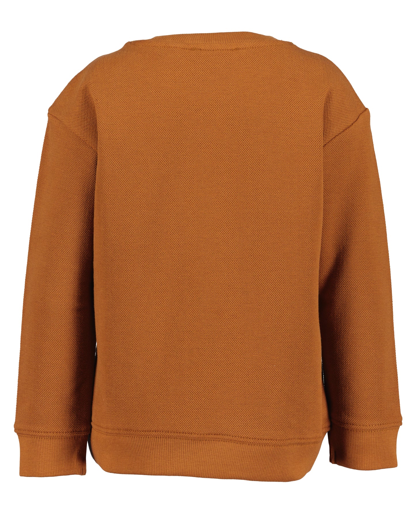 Boys Teddy Jumper