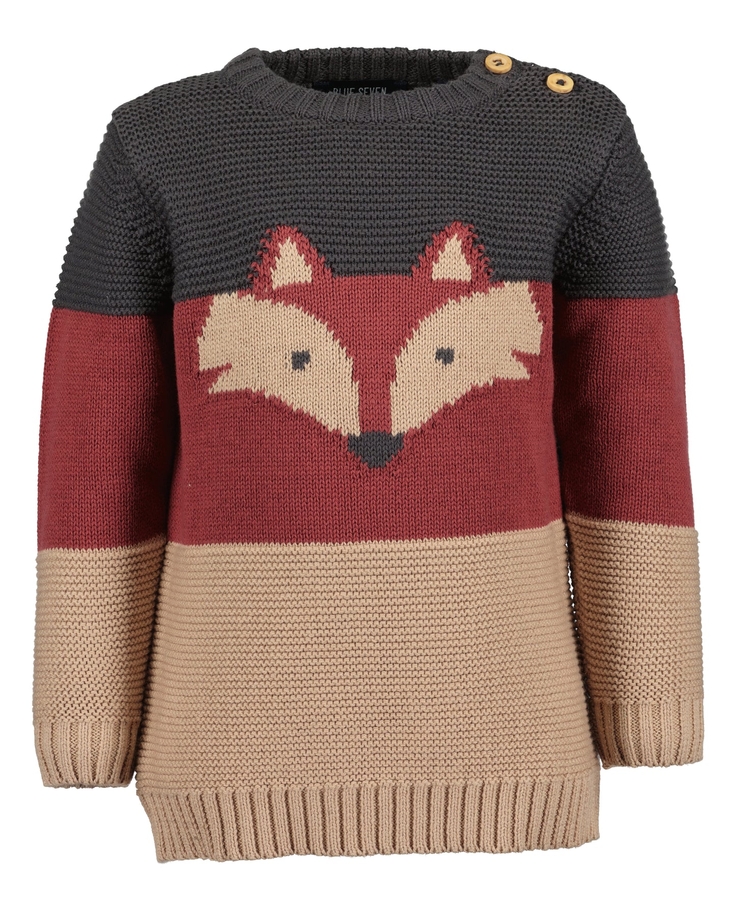 Toddler Boys Fox Jumper