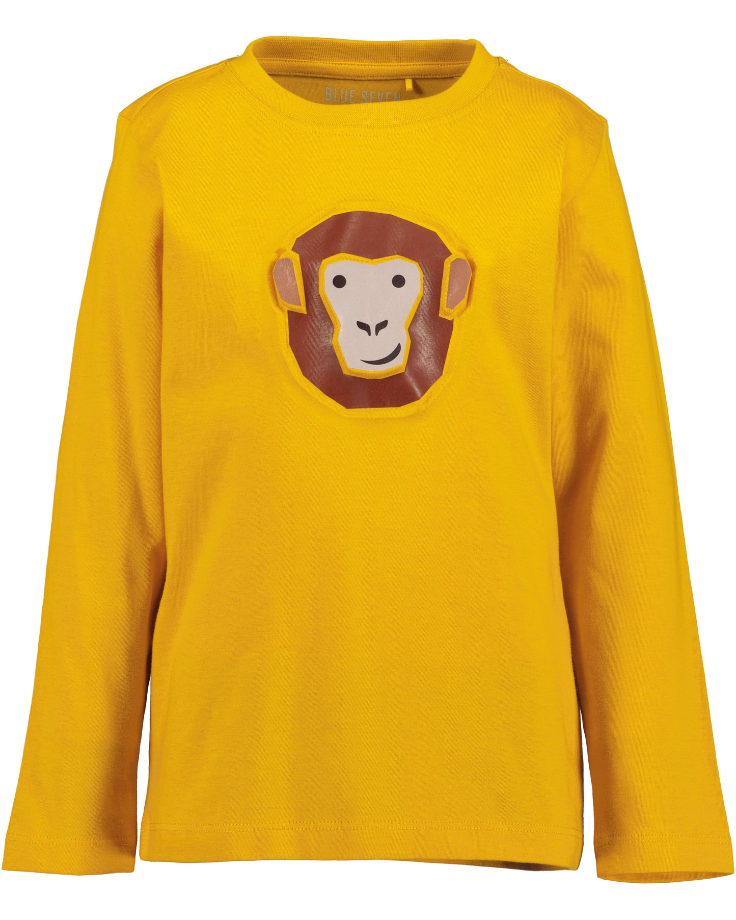 Boys Monkey Top