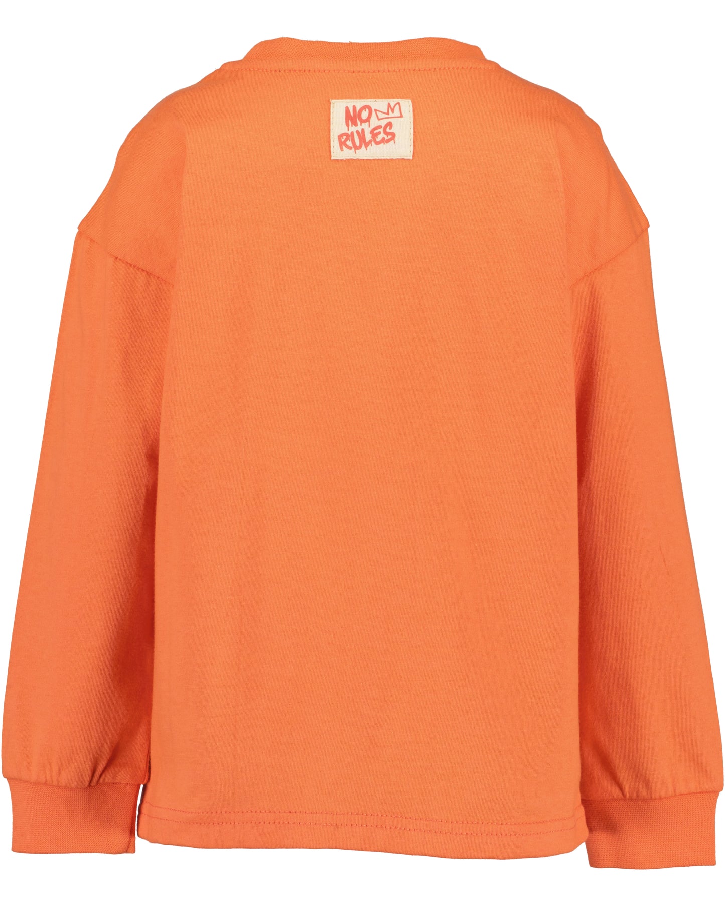 Boys Truck Top