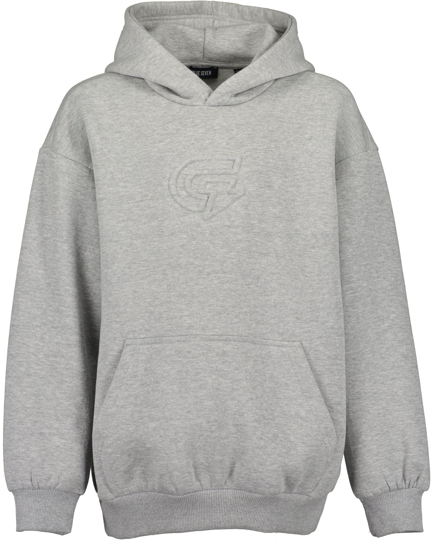 Boys Grey Hoodies