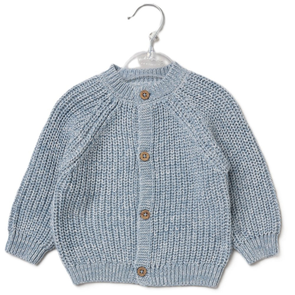 Blue Baby Cardigan - Brother