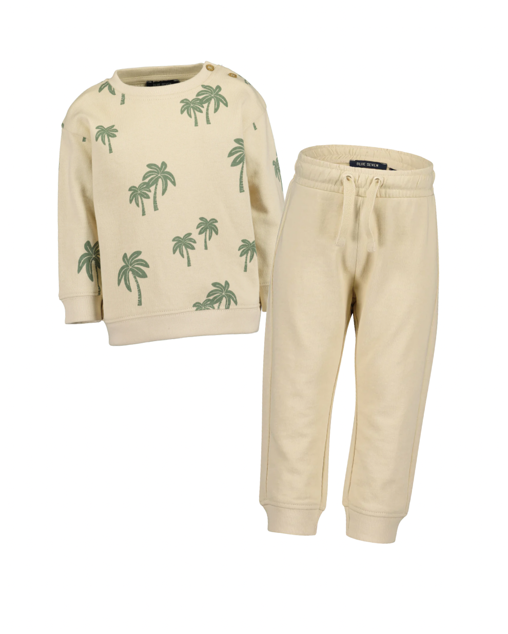 Baby Boys Tracksuit Set