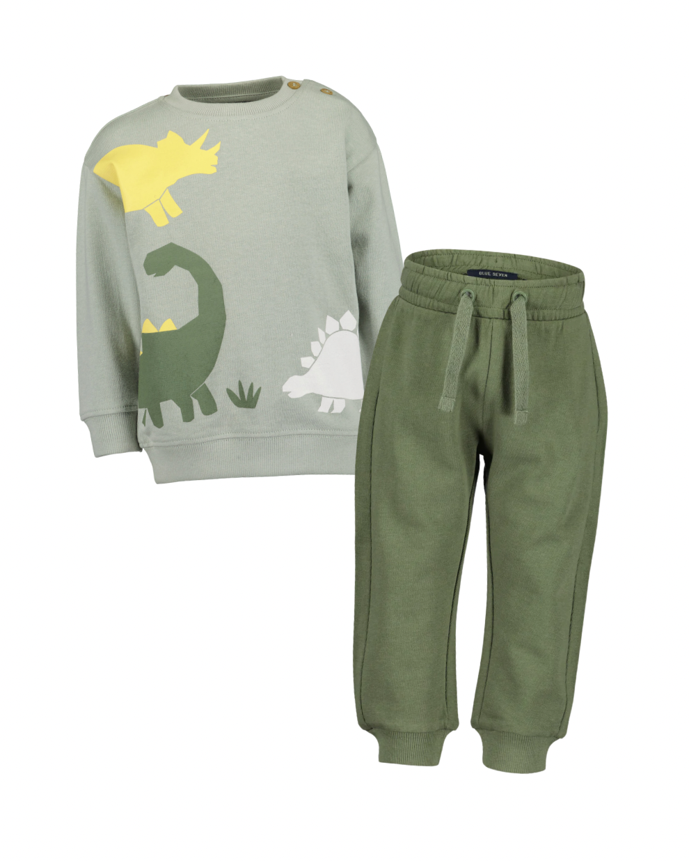 Baby Boys Green Dino Set