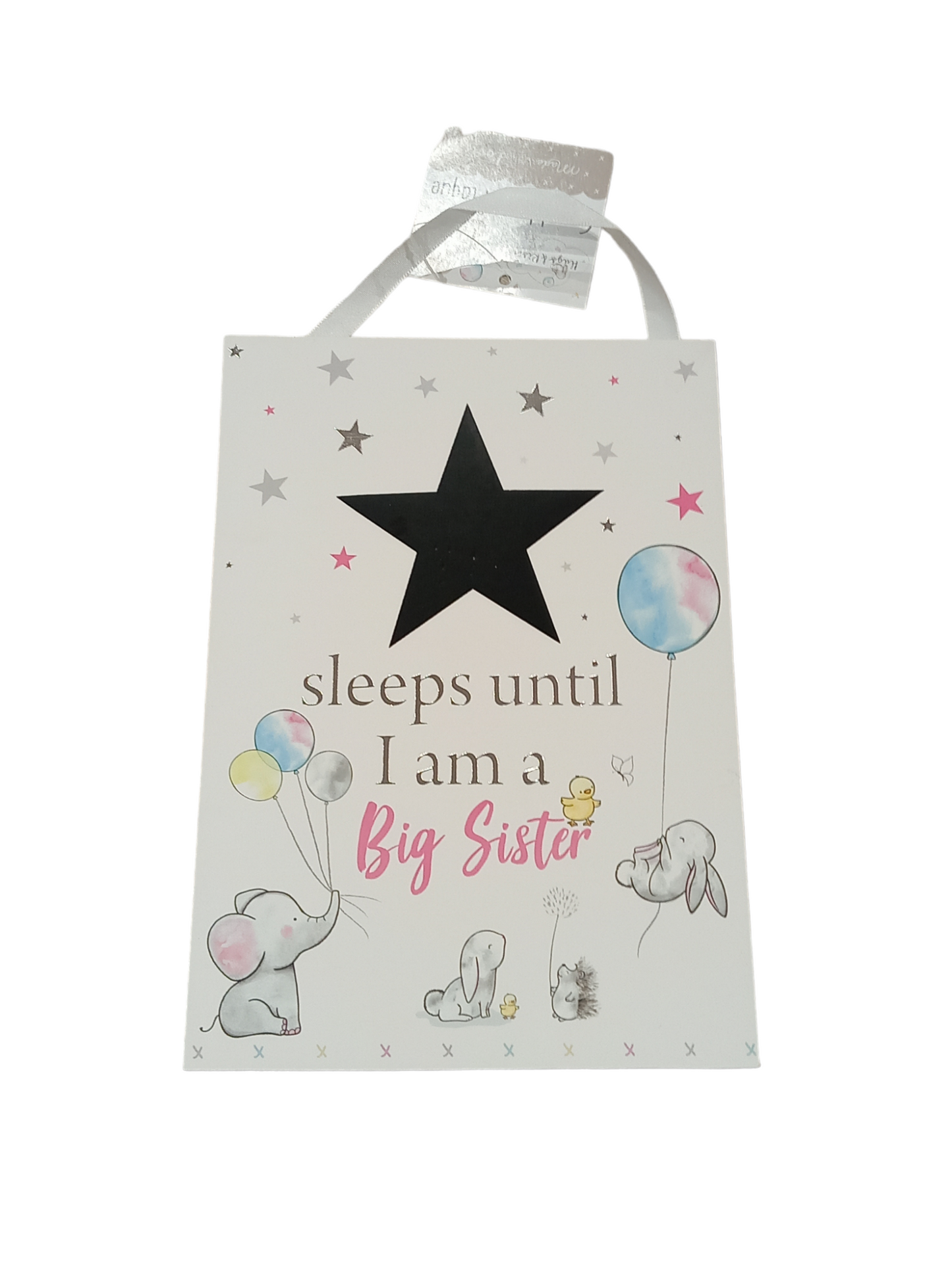 Big sister Countdown Plaque