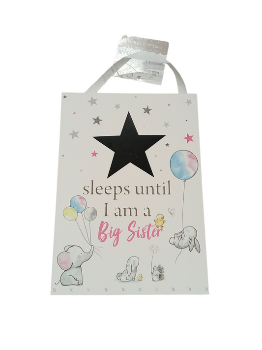 Big sister Countdown Plaque