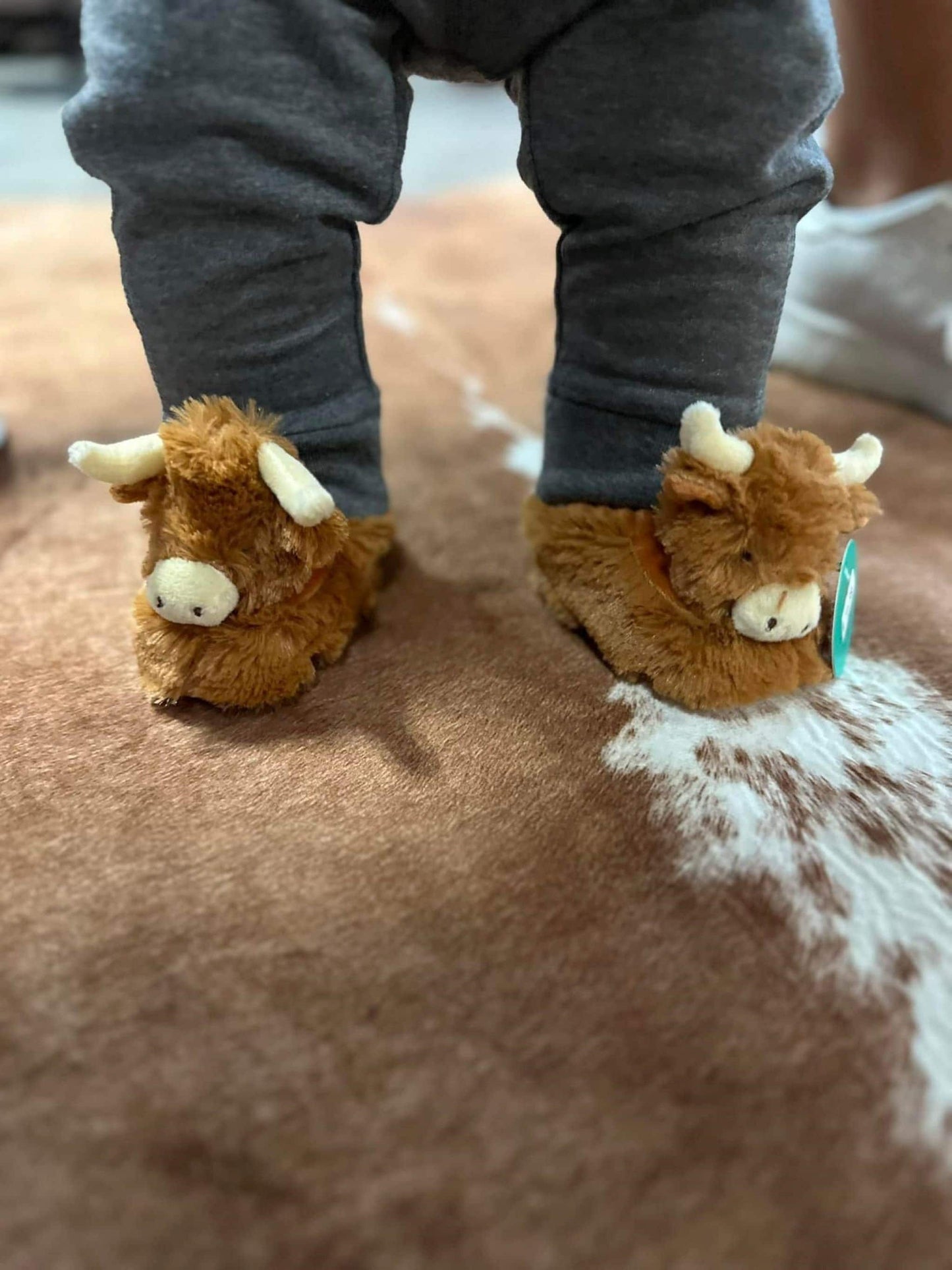 Baby Highland Cow Slippers
