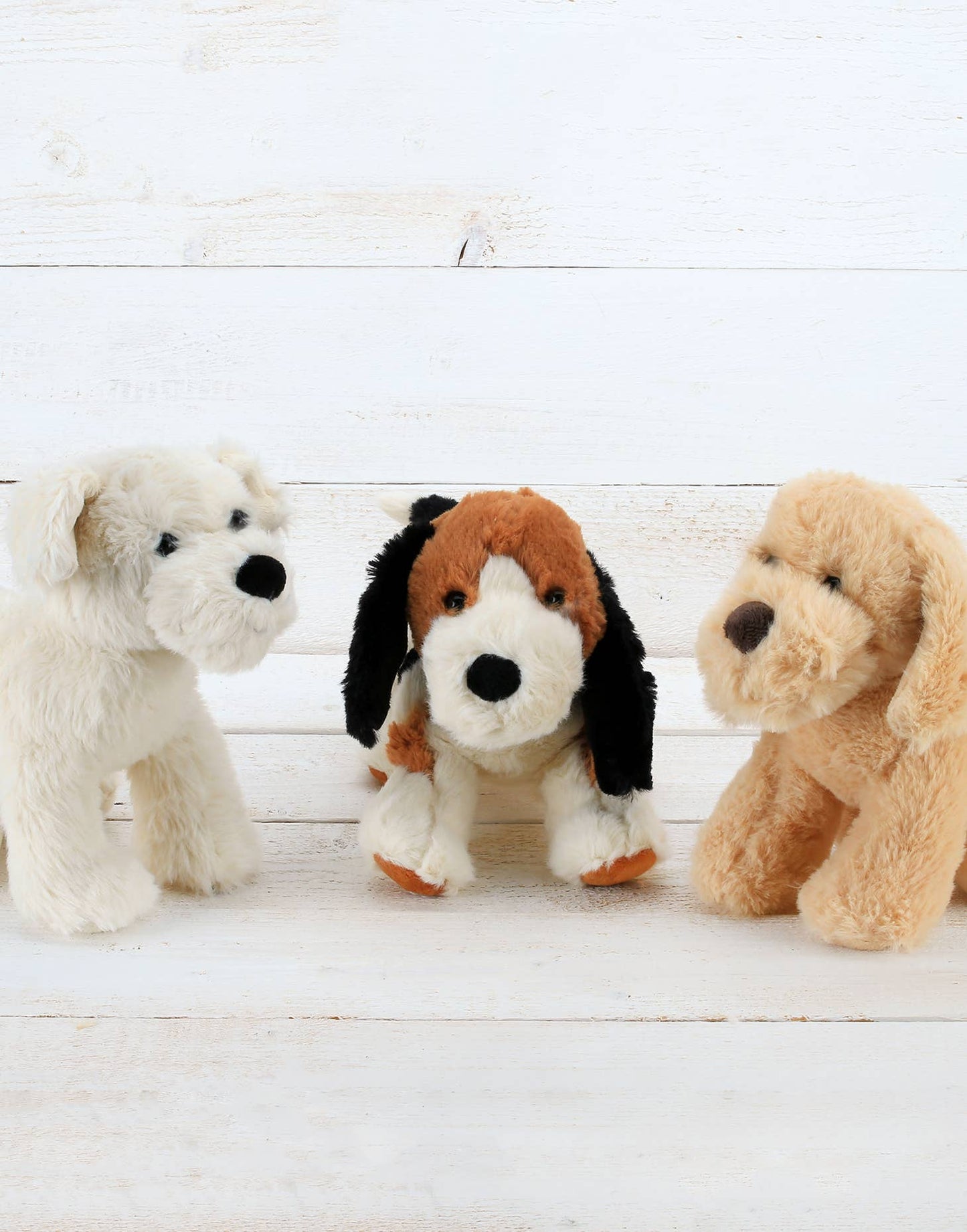Puppy Soft Toy