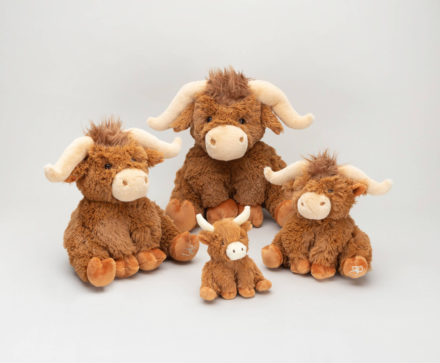 Brown Highland Cow
