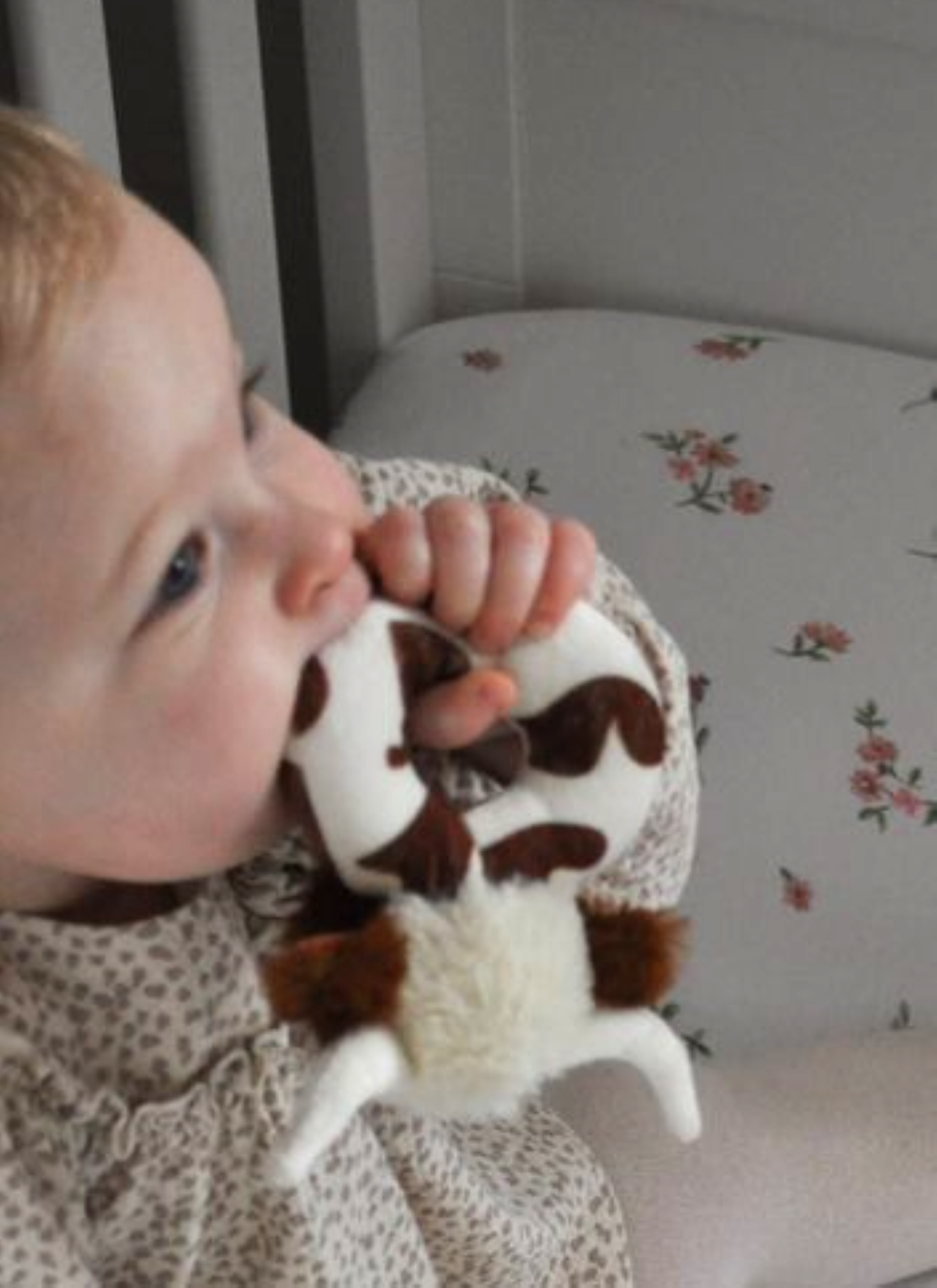 Longhorn Highland Cow Rattle