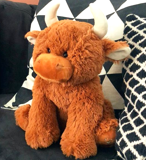 Jomanda Highland Cow