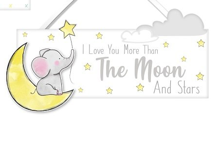 I love you more than the moon and the stars